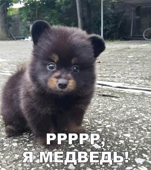 Юмор в картинках и без