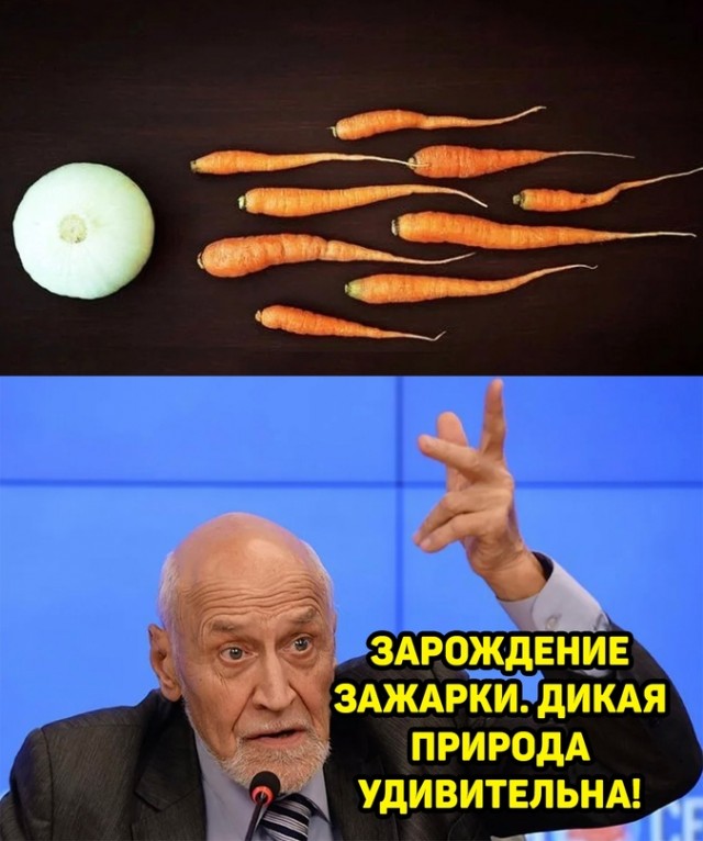 Немного картинок для настроения - 131