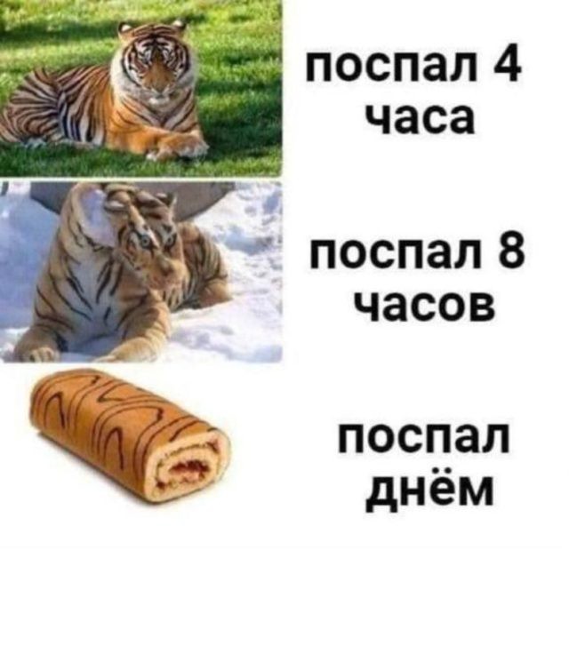 Подборка картинок 06.05.2023