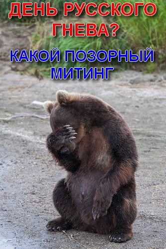 В Москве прошел «День русского гнева»