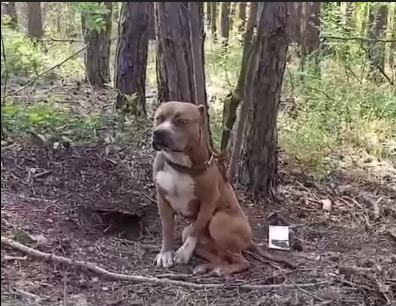 Преданный