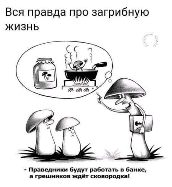Картинки от Scodero 4