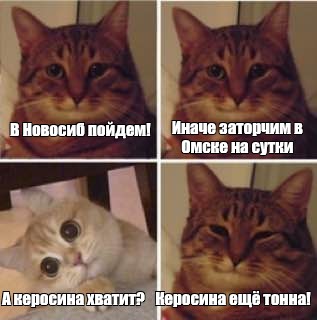 «А керосина нам хватит?»: расшифровка «черных ящиков» самолета, севшего в пшеничном поле, стала большой неожиданностью