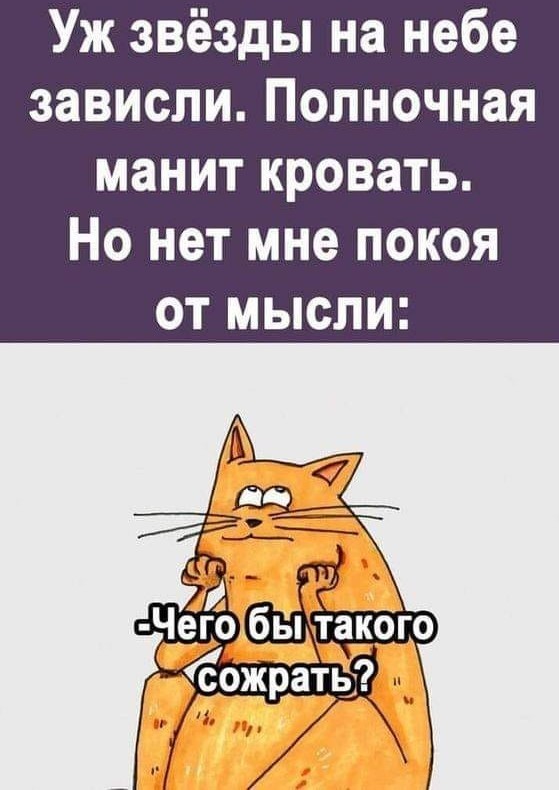 Жизнь домашнего приюта "Котоленд" 418