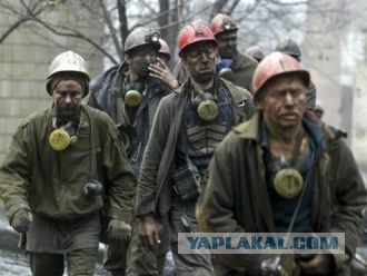 Хватит ныть займись делом