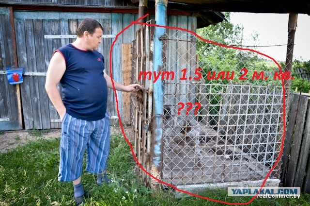 «Догхантер» из деревни Светлый Бор: собака,