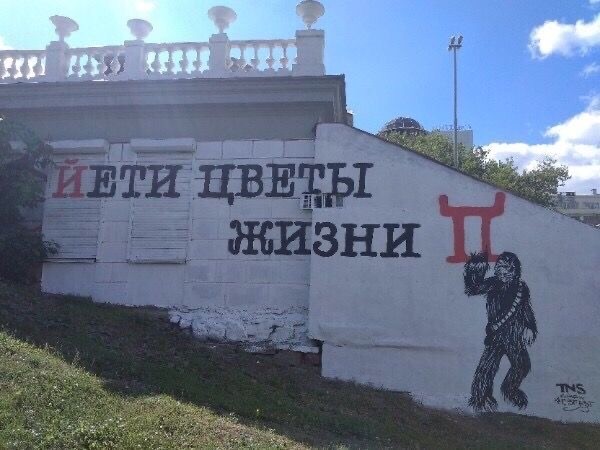 Прикольные и просто красивые картинки 10.01.2025