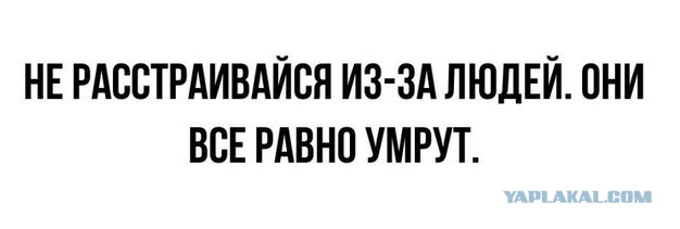 Поделюсь радостью