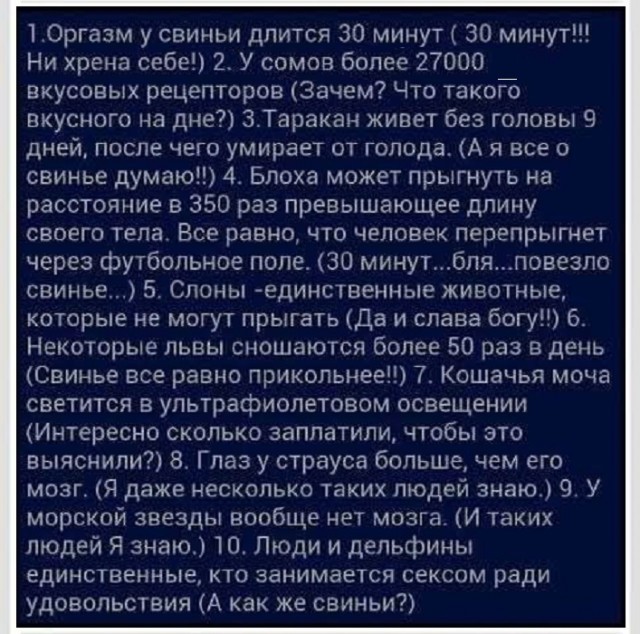 Веселые картинки в понедельник
