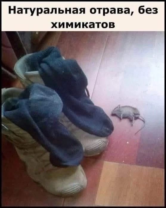 Картинок немного в среду утром