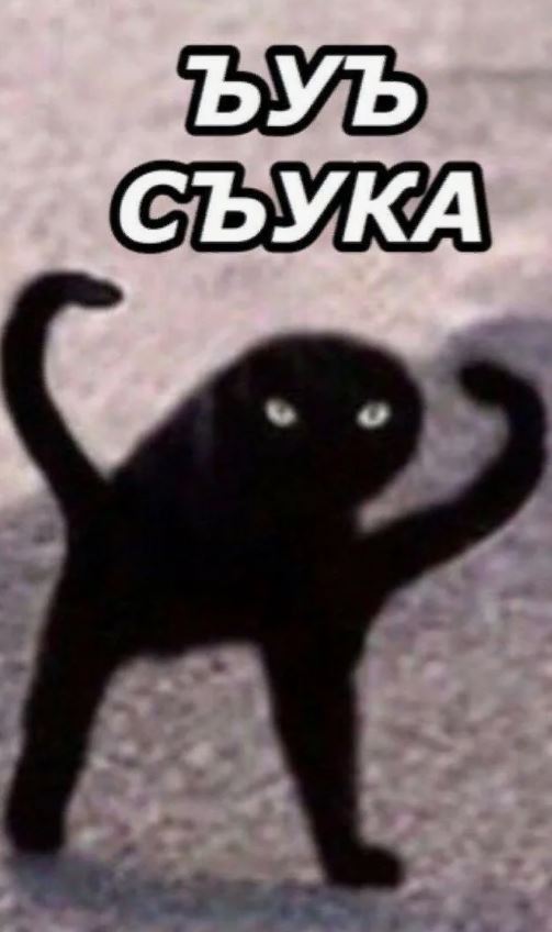 И вот что с ним делать за это?