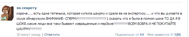 Сколько зарабатывает бизнес на шаурме?