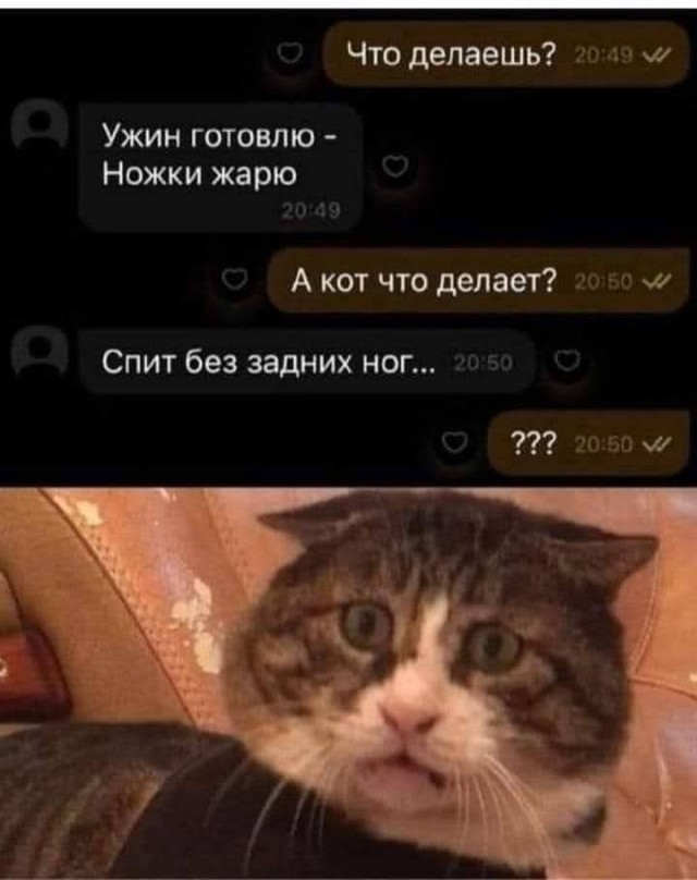 К котовторнику: подборка картинок-баянов с котиками и про котиков. Выпуск 25.