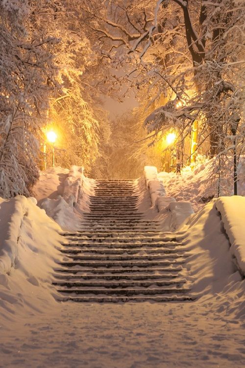 Прикольные и просто красивые картинки 30.12.2025