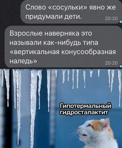 К котовторнику: подборка картинок-баянов с котиками и про котиков. Выпуск 31.