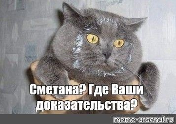 Подборка картинок-баянов с котиками и про котиков. Выпуск 40