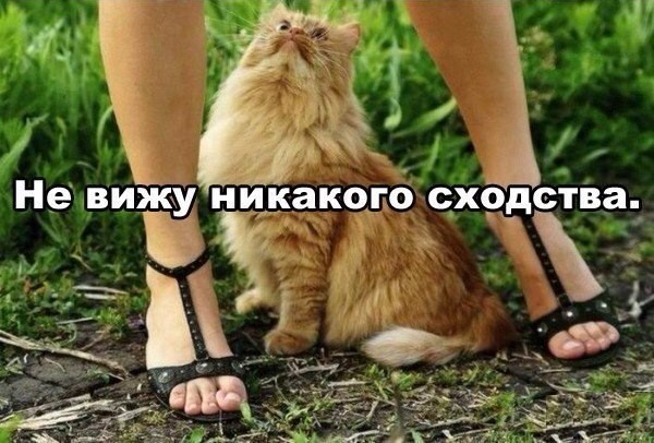 Так себе картинки 24.06.26