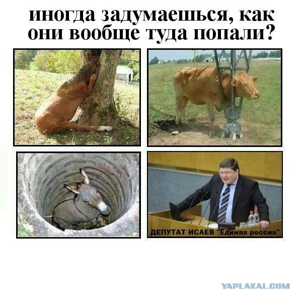 Как депутат Исаев летал в самолёте.