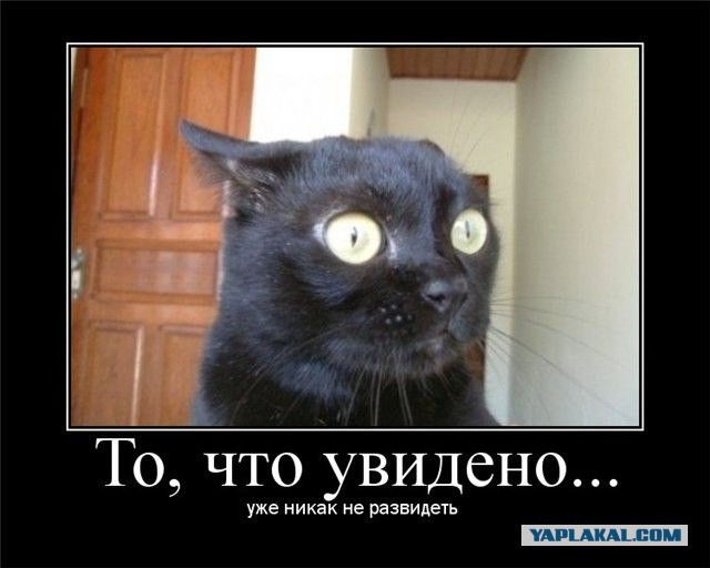 Они такие