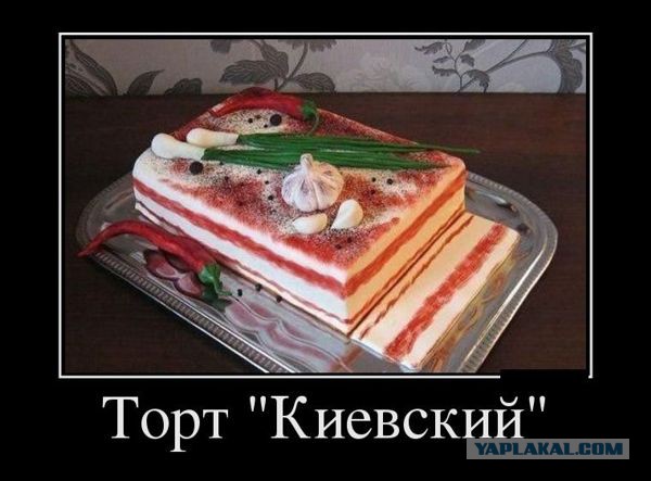 Прогулка блоггера на майдан в Киеве.