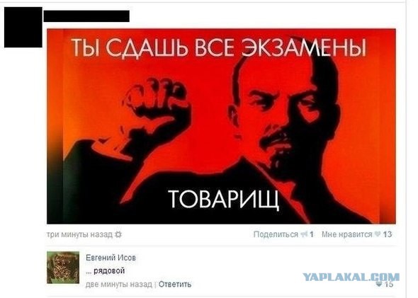 Смешные комментарии из социальных сетей (часть 5)