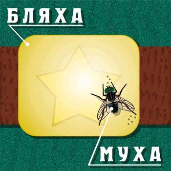 Шикарная пряха