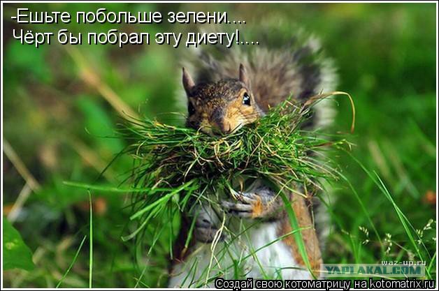 Когда вы плюсуeтe тему в платине