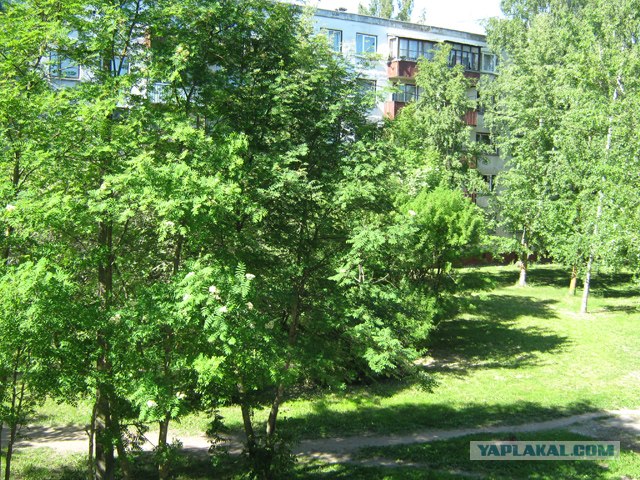 Вид из вашего окна