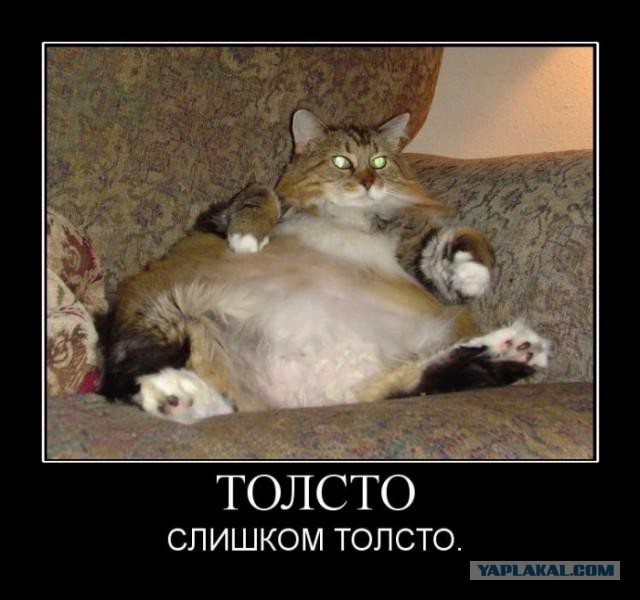 Все женщины ко... Или, разведем БАБОсрач.
