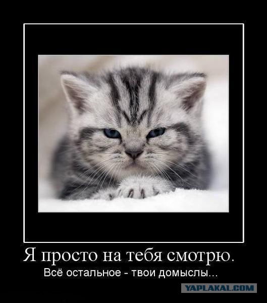 Давно демотиваторов не было