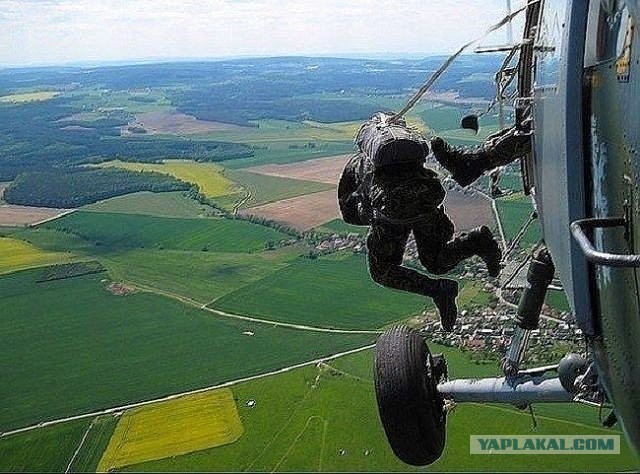 Картинки из этих ваших интернетов