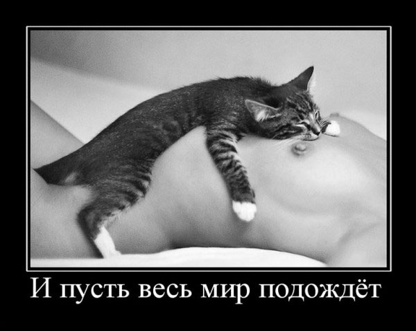 Демотиваторы вторника
