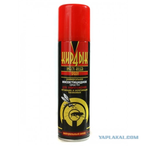 Арахнофобам НЕ СМОТРЕТЬ.