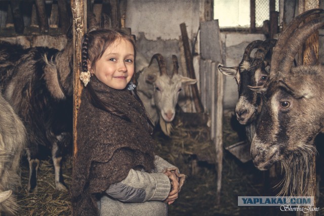Утро в деревне