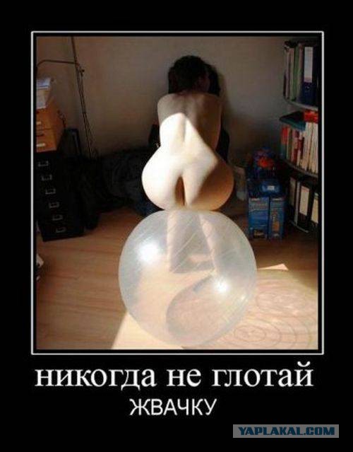 41 веселая картинка