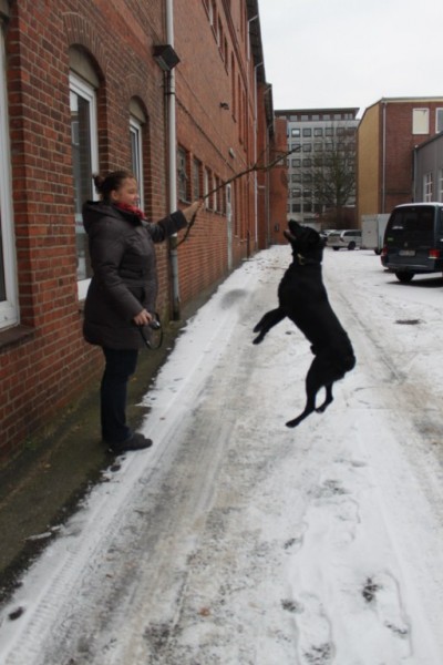 Один мой день на работе моей мечты: Гамбург, 24.01