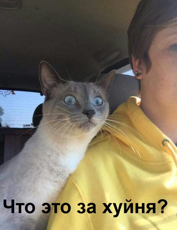 Как я сидел на белом