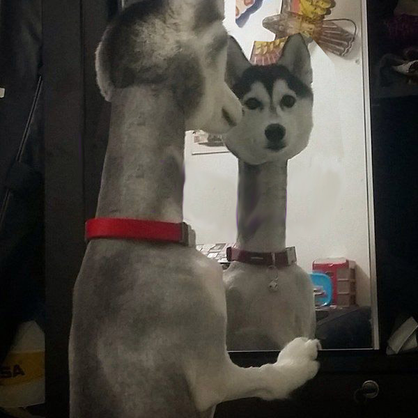 "Что Вы наделали  ? "