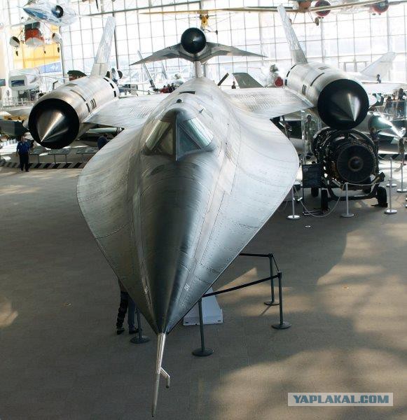 Охота за «Чёрным Дроздом»