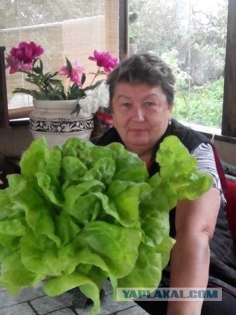 Дачники! Время промежуточных результатов! Хвастаемся