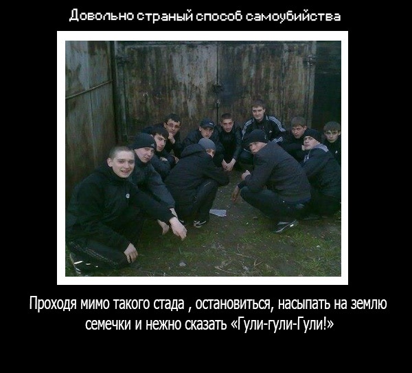 Демотиваторы