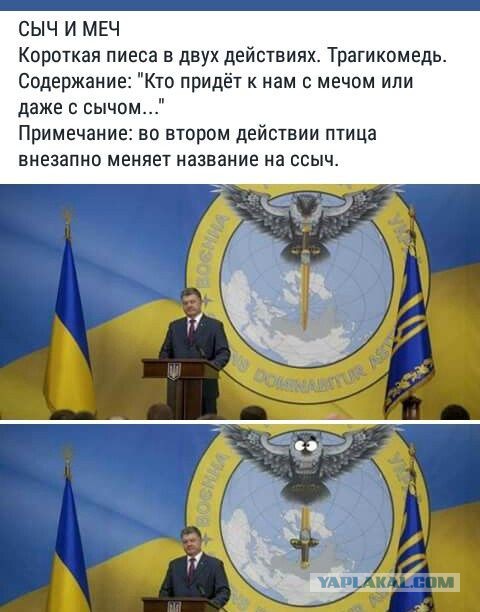 Совой и мечом: как украинскую армию «украшают» антироссийской символикой