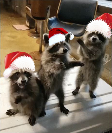 Яповцы, оновогоживайтесь!
