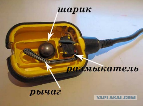 Удивительные находки, обнаруженные на пляжах
