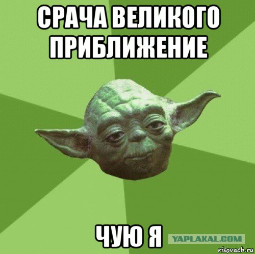 Сижу, обмазываюсь