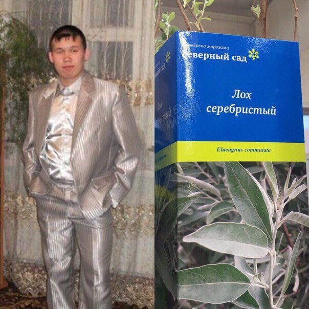 Веселые фотокарточки из крайне асоциальных сетей