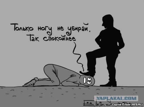 Озверевшие гаишники поваляли водителя по асфальту за просьбу назвать причину проверки документов