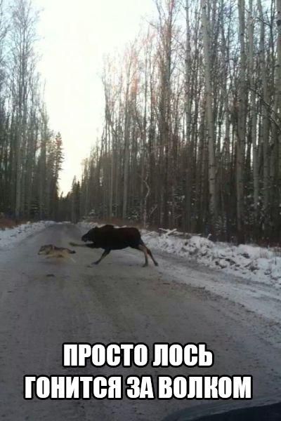 Нестандартный юмор