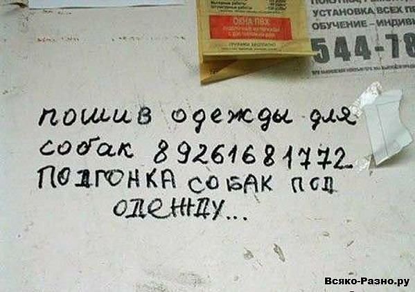 19 примеров честного маркетинга