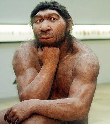 Вот как выглядело лицо 28-тысячелетнего кроманьонца